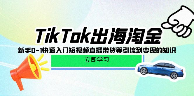 TikTok-出海淘金新手0-1快速入門短視頻直播帶貨等引流到變現的知識