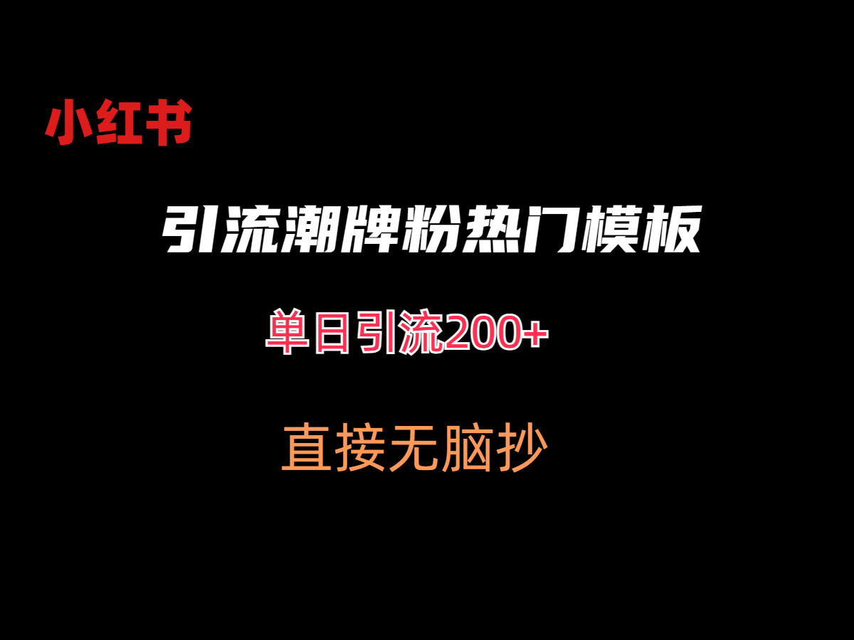 最新小紅書無腦套模板單日引流200+