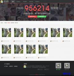 HTML5-寵物社區分享網站響應式模板_帝國cms模板插圖