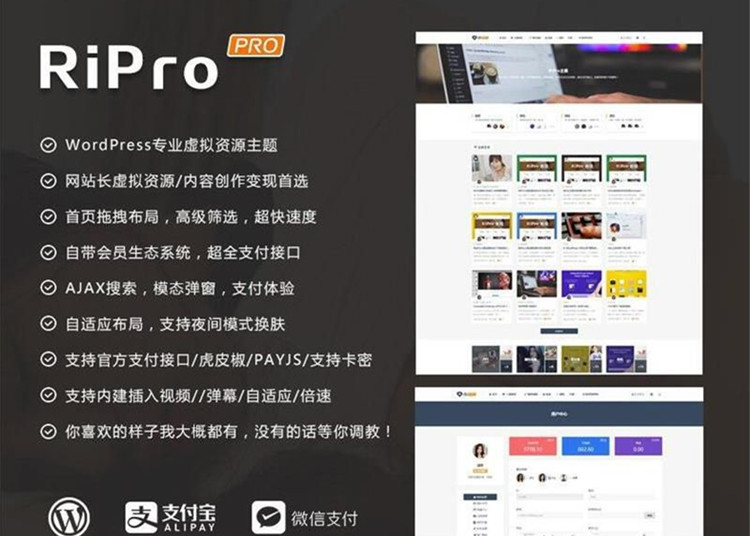 RiPro 4.9版資源下載站WordPress主題模板