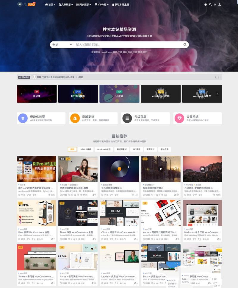 WordPress虛擬資源商城主題 RiPro-V5激活版V7.1.3 RiPro-V5開心版