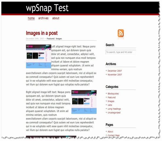 WordPress CopyBlogger年度佳13__wordpress主題