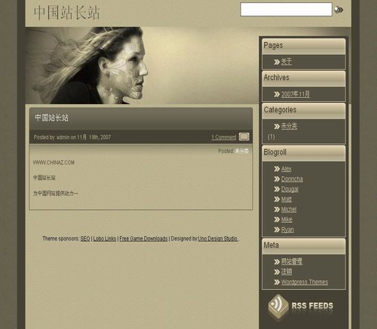 WordPress 主頁風格__主題下載