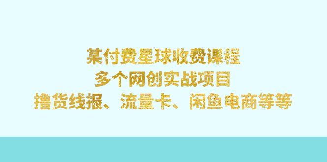 某付費課程：多個網創實戰項目，擼貨線報、流量卡、閒魚電商