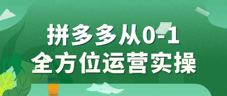 網賺課程：拼多多從0-1全方位運營實操