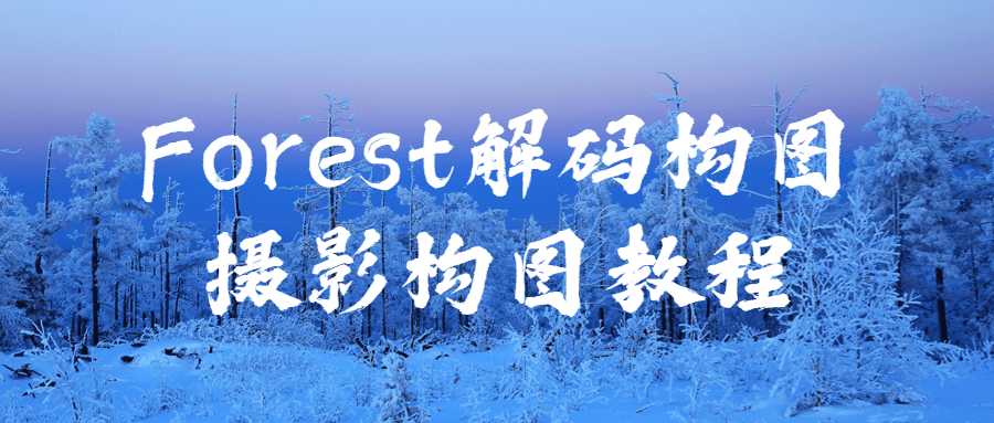 攝影精品課程：Forest解碼構圖攝影構圖教程