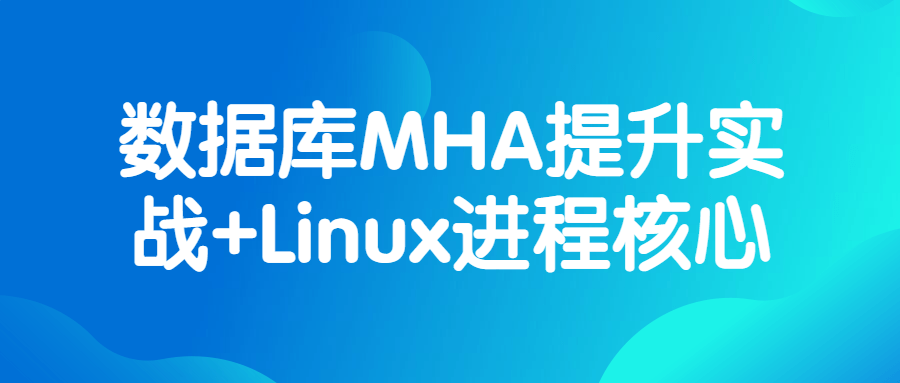 程序員課程：數據庫MHA提升實戰+Linux進程核心