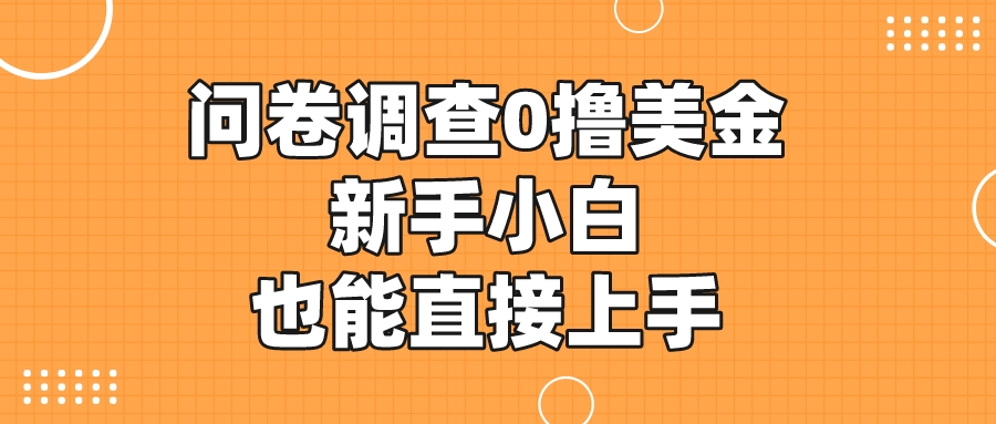 國內可做的國外問卷調查0擼美金新手小白也能直接上手