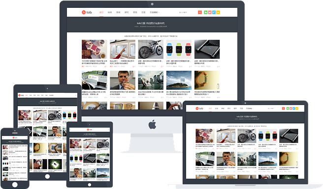 WordPress主題：tob主題最新原版,自適應博客,圖片,視頻主題