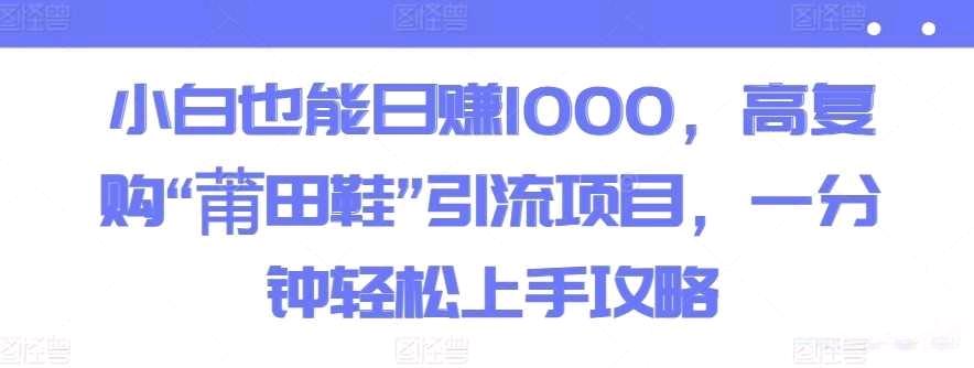 小白也能日賺1000高復購“莆田鞋”引流項目