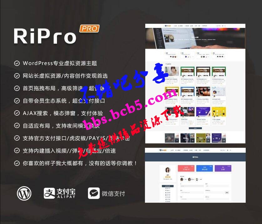 ripro8.7日主題破解版 WordPress主題ds