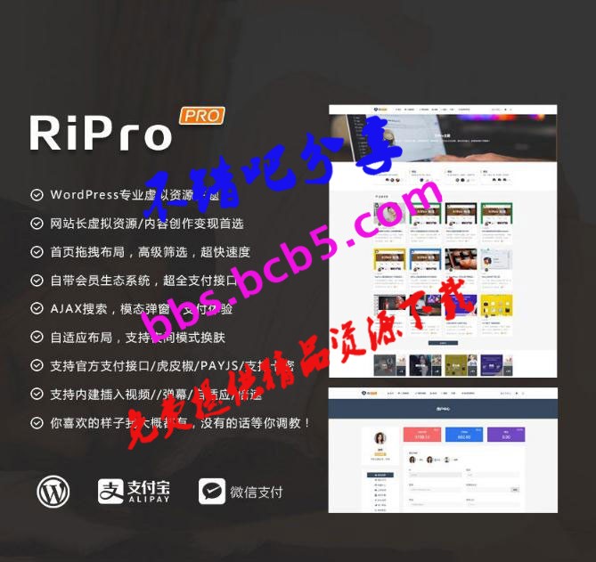 WordPress主題 RiProV4.3.0破解去授權無限制版本 支持支付寶，專業虛擬資源主題