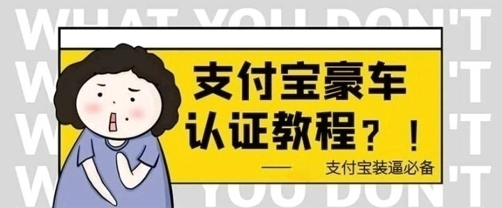 小衆項目支付認證豪車