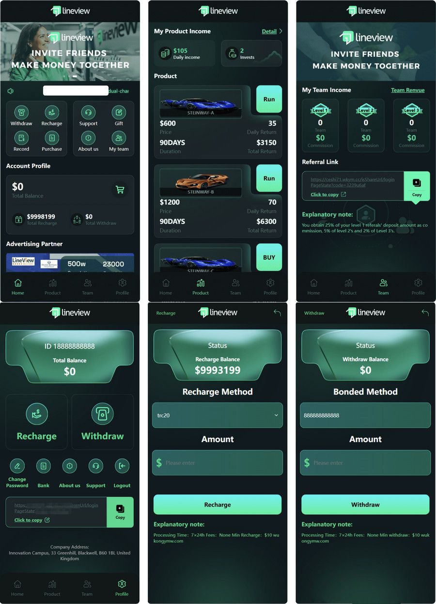 lineview海外汽車投資理財源碼/前端html+後端PHP+搭建教程sd